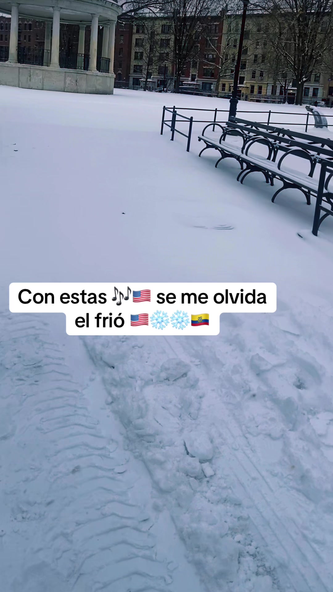 @angelauqui1