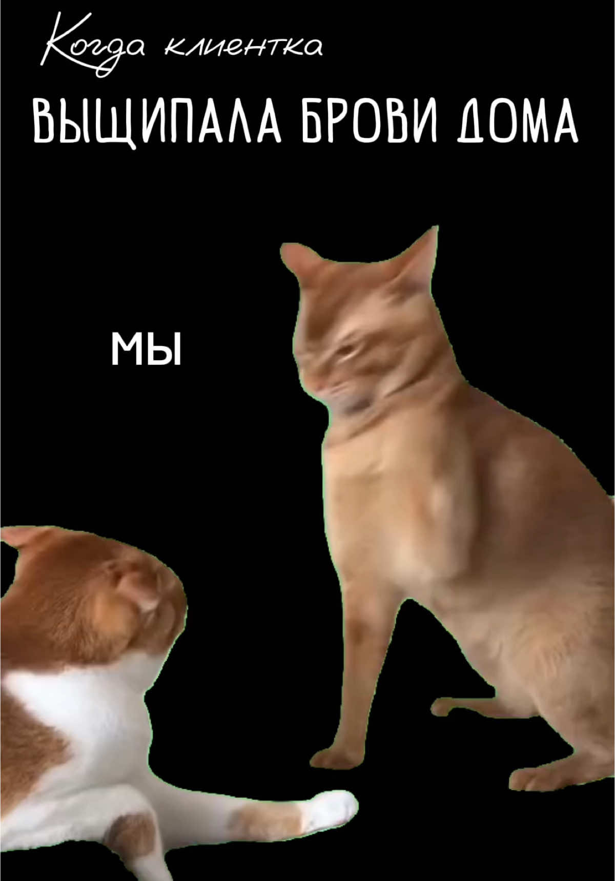 @Анастасия Гришина