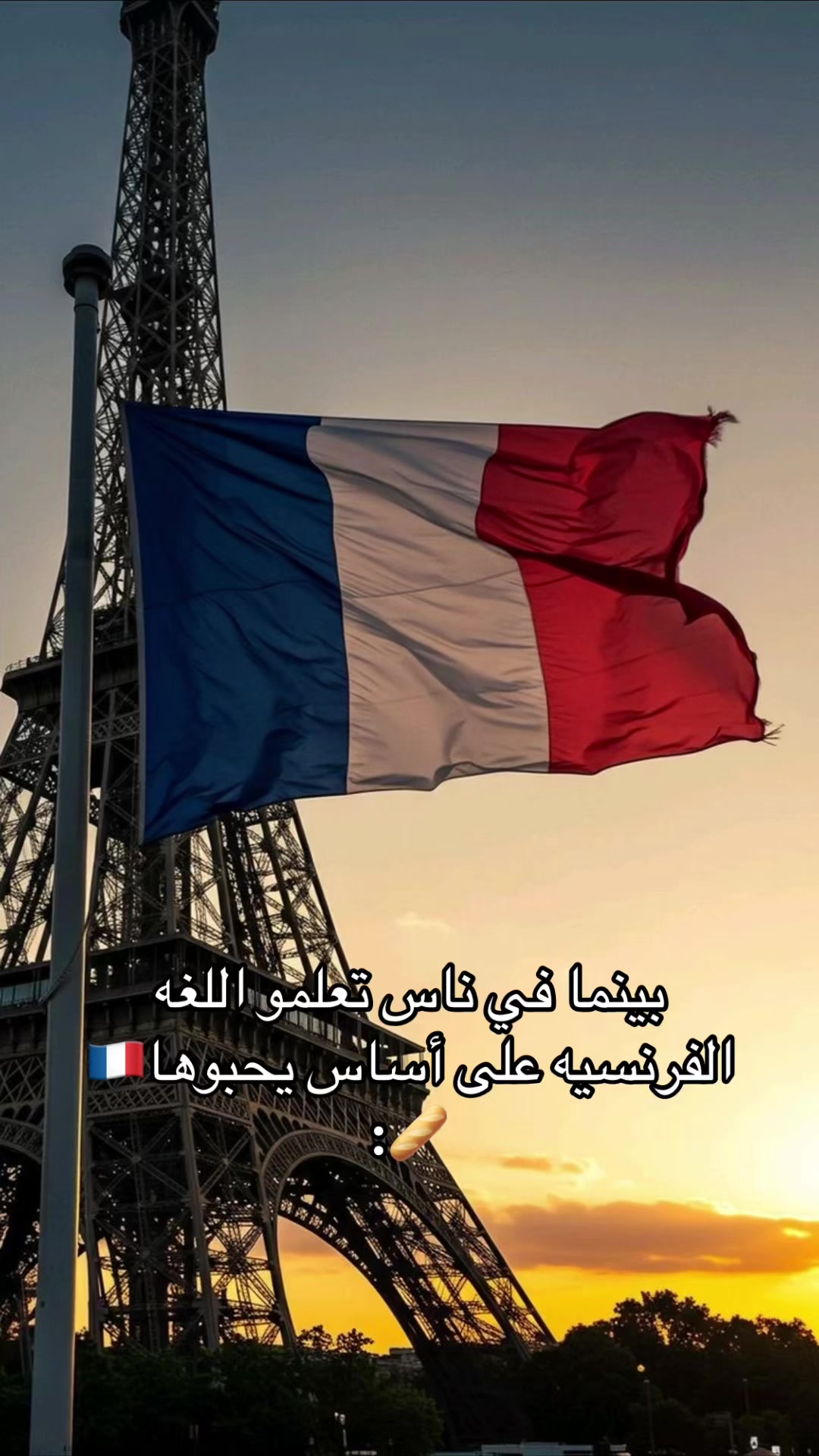 @𝑺𝒉𝒂𝒎🪽