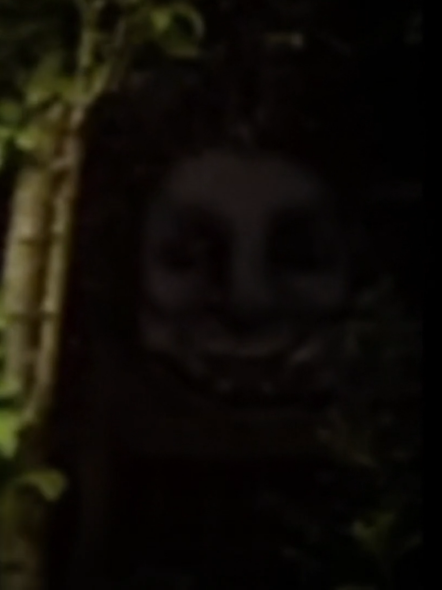 @🇳🇱 Netherlands Andy 🏳️&zwj;⚧️