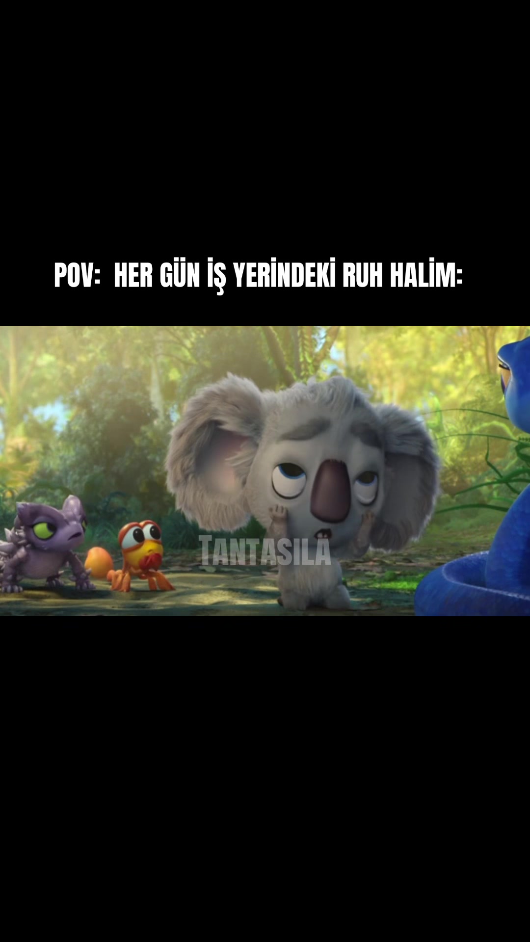 @Buket