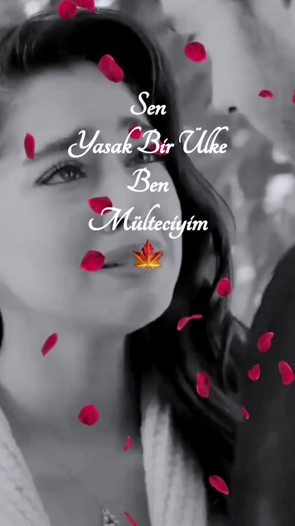 @💛Gαɱȥҽ Nυɾ💙