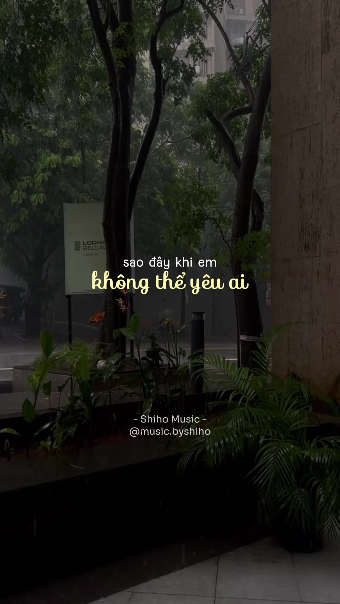@𝐒𝐡𝐢𝐡𝐨 𝐌𝐮𝐬𝐢𝐜 🎧
