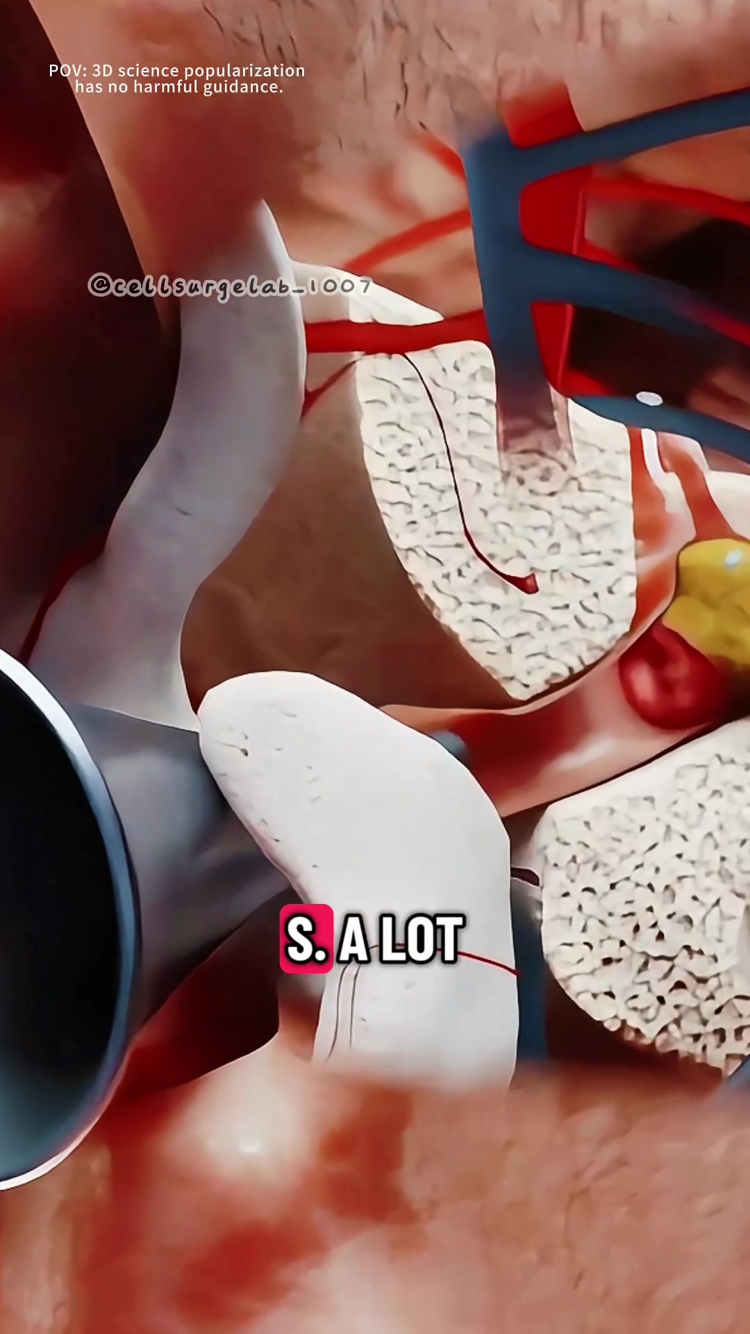@cellsurgelab_1007