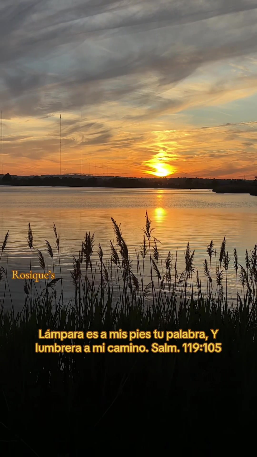 @Rosique NY