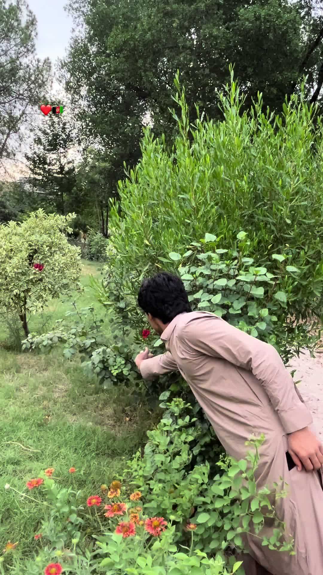 @Zabikhan