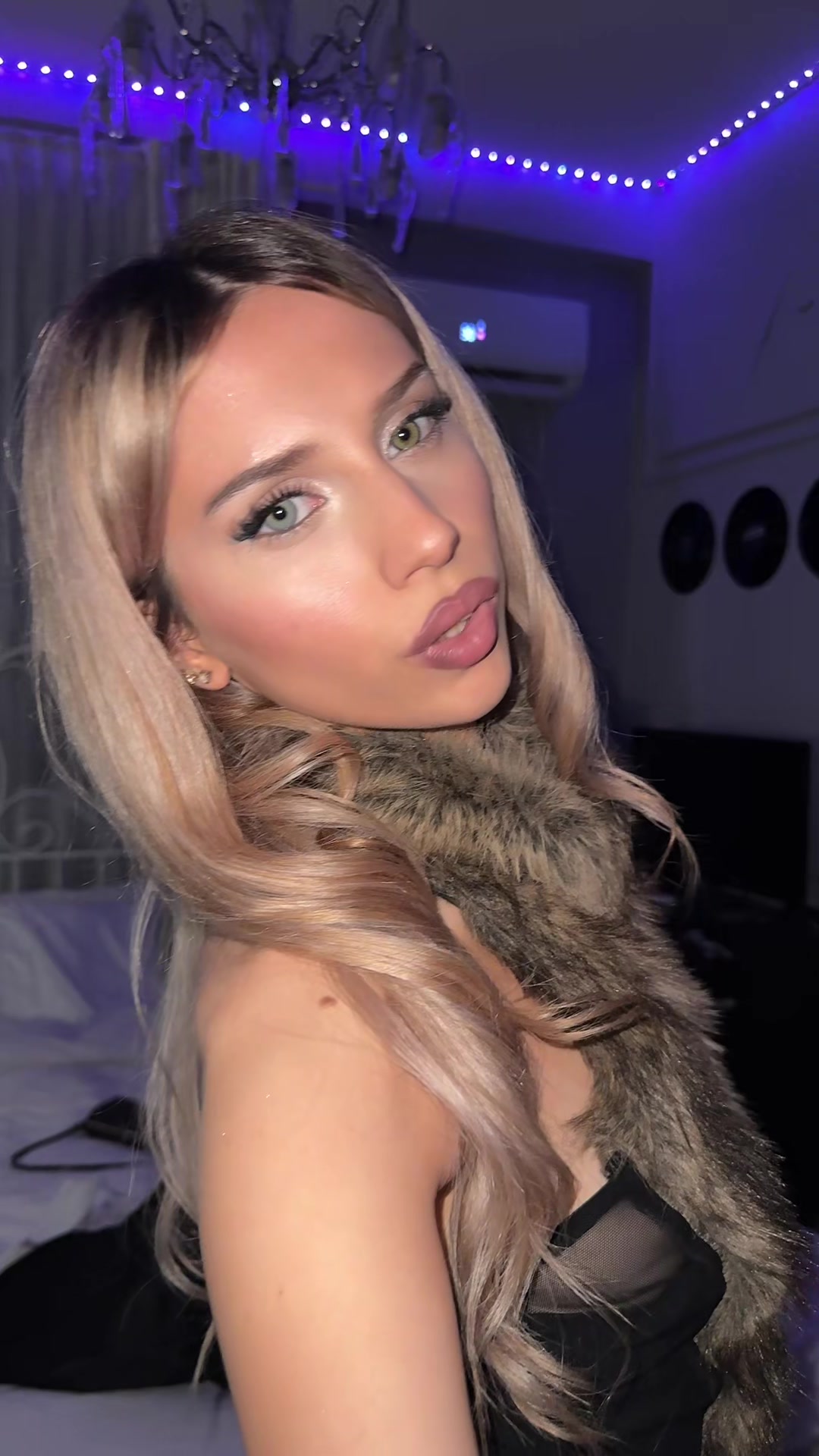 @stellampk