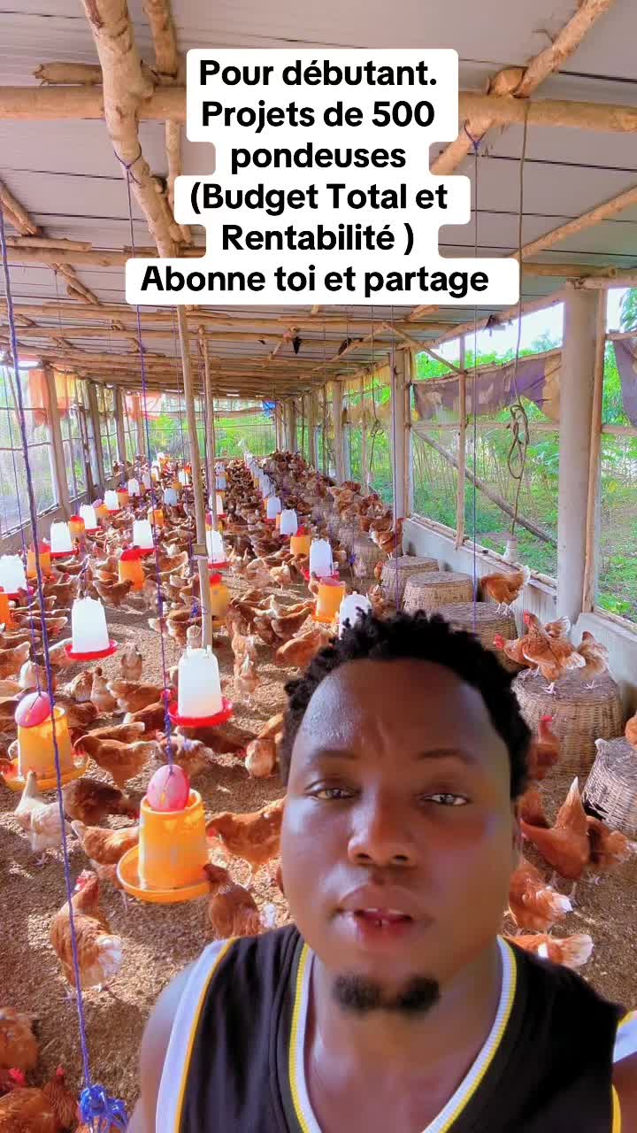 @Gragologue Solidarity