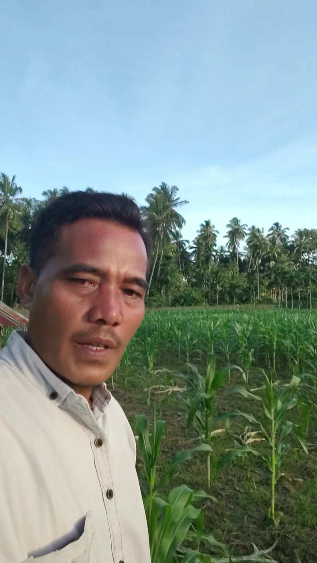 @petani kecil ujung tapsel