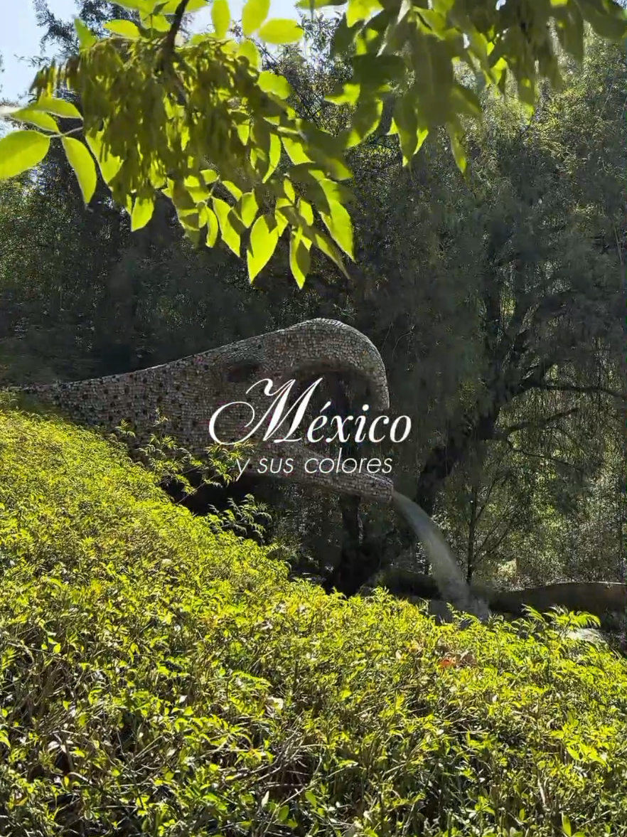 @México Traveler