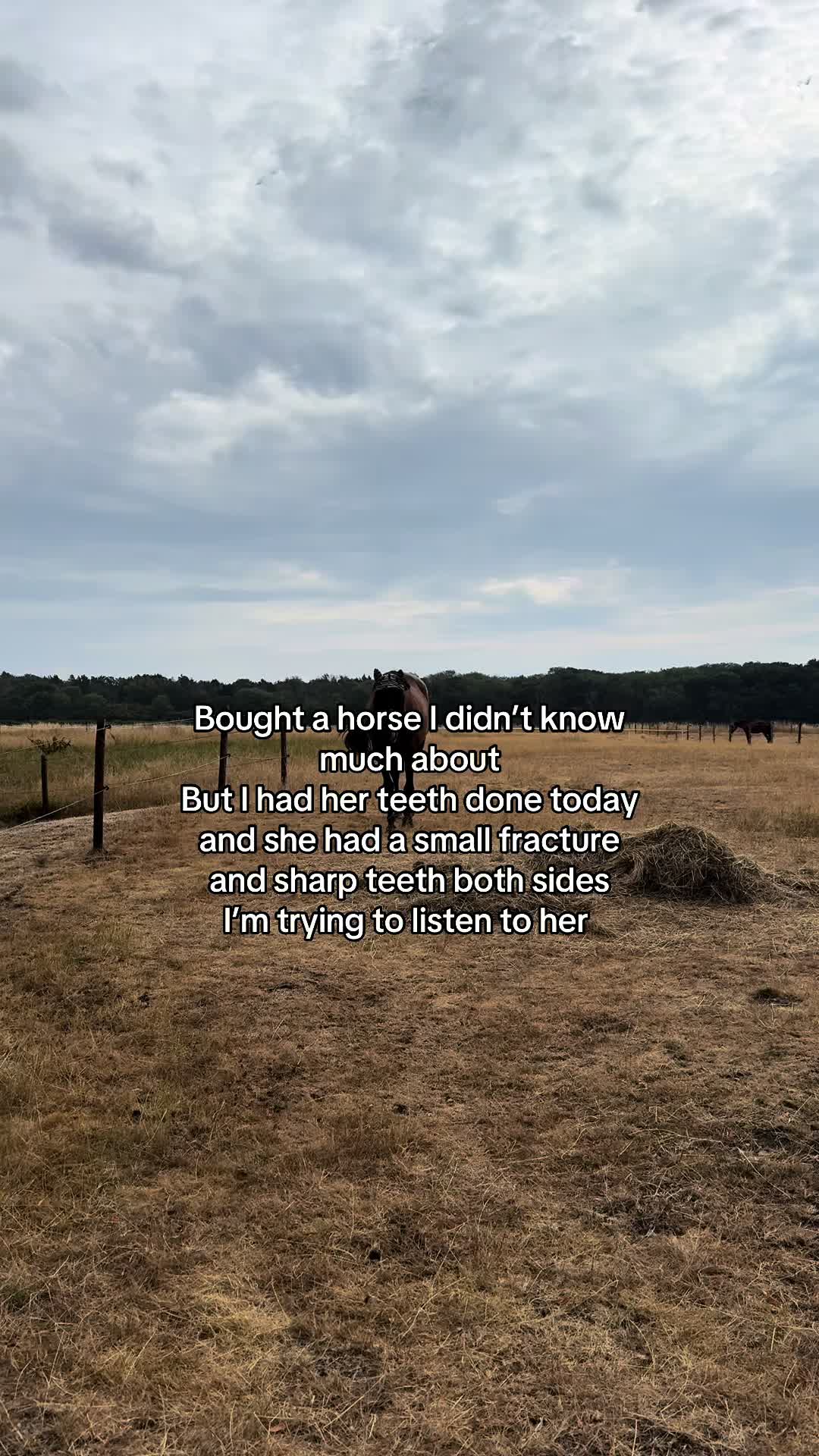 @Kelsey Jenner
