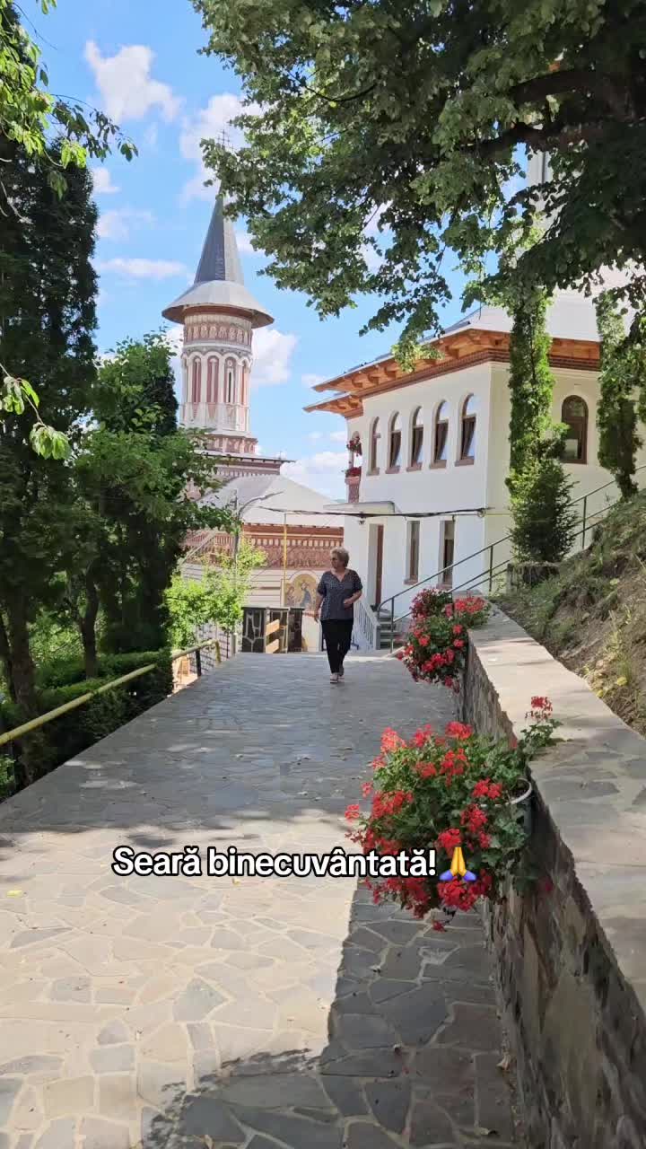 @Nița Foitoș