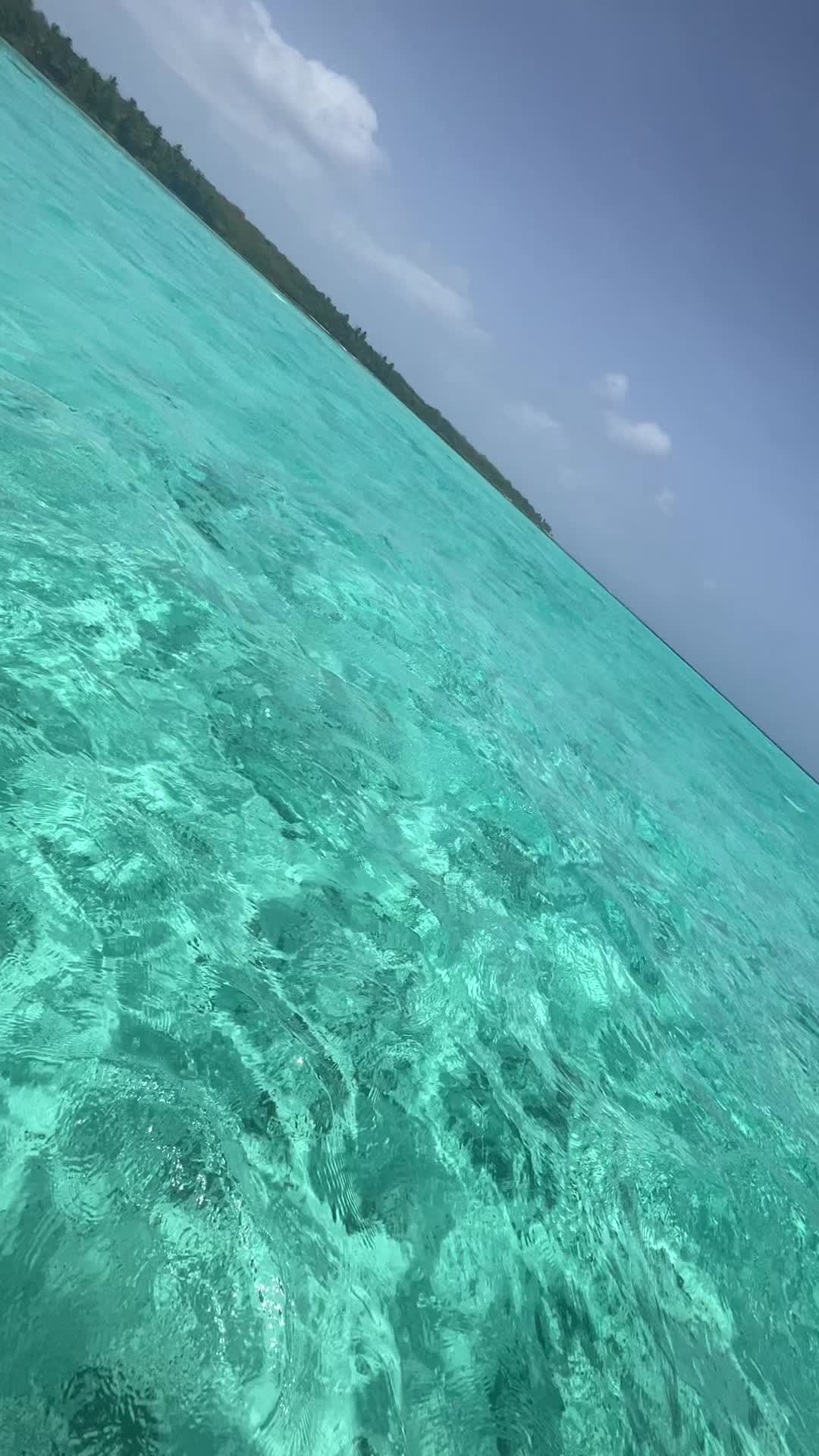@Metamonifosis 🦋