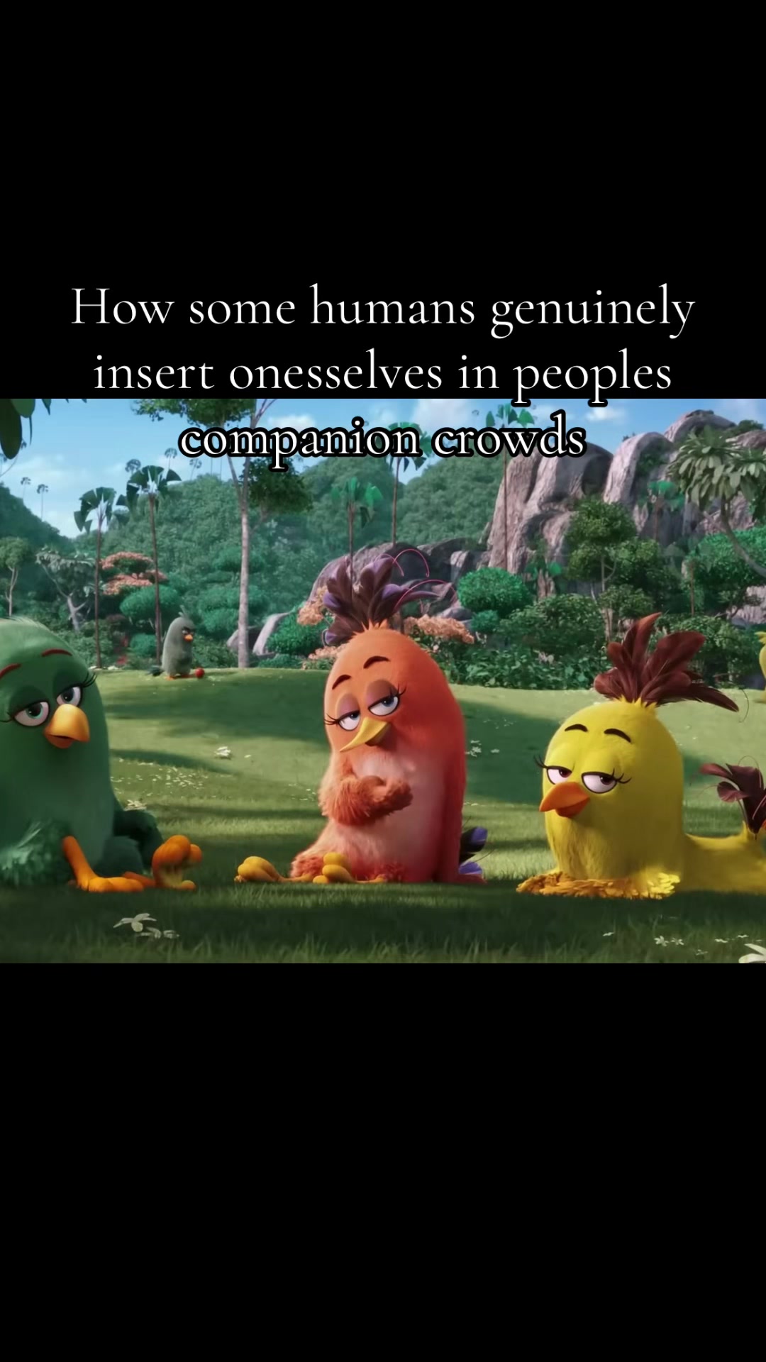 @gif_kingz