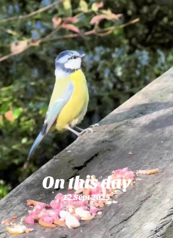@flora_fauna_fur_feathers
