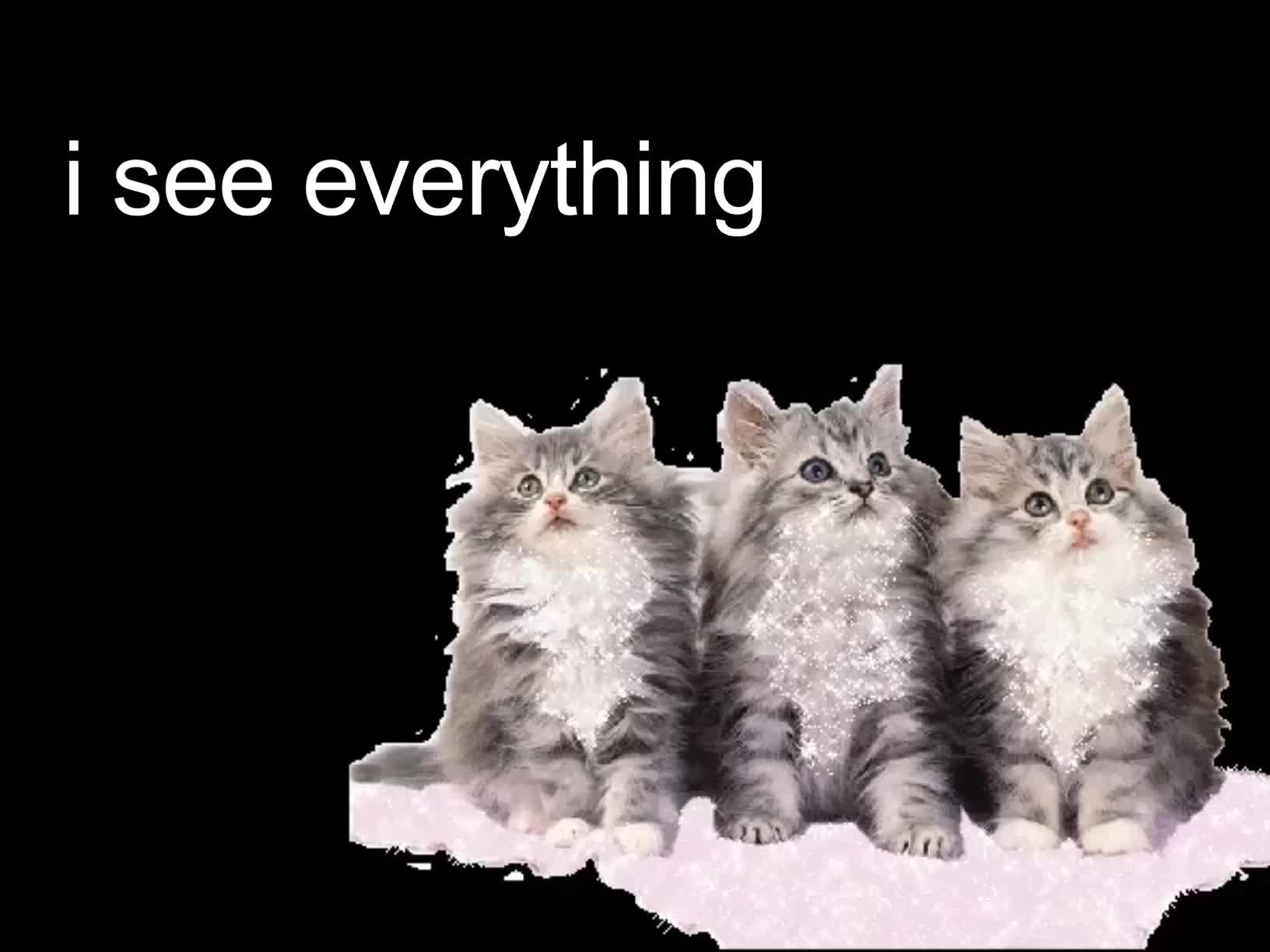 @๐๏ธ
