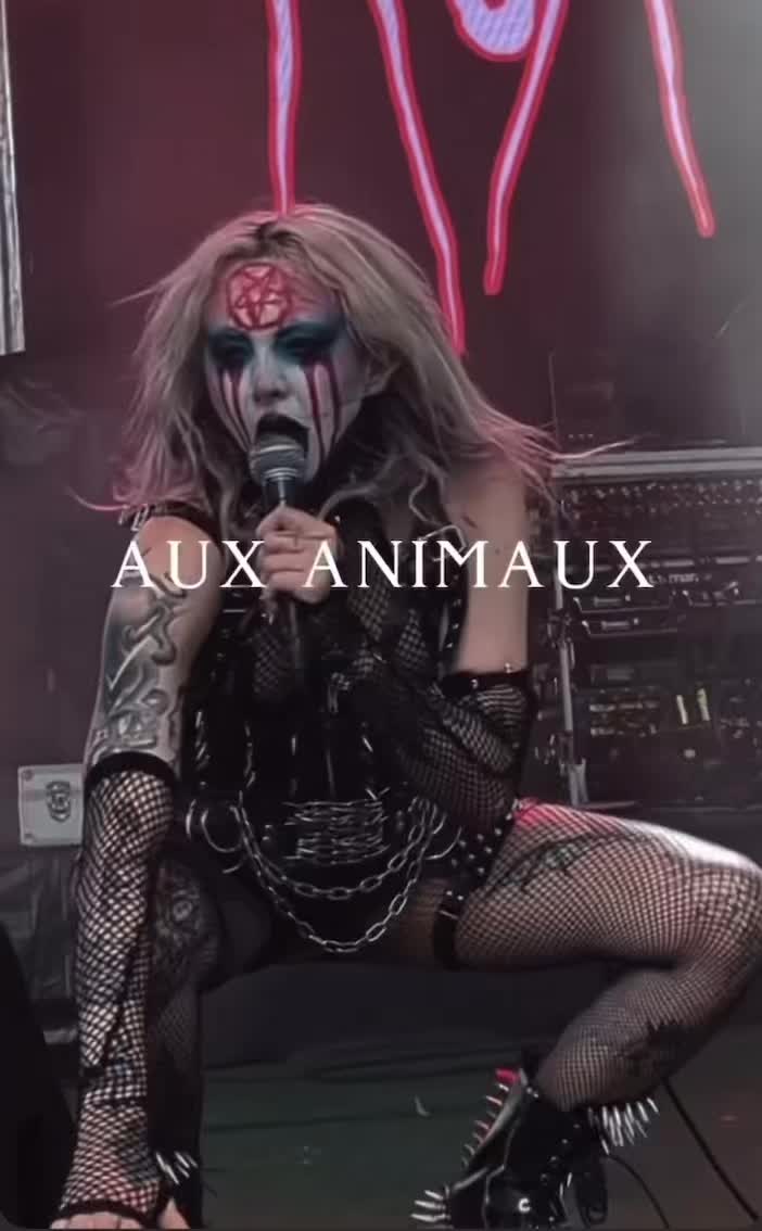 @auxanimaux