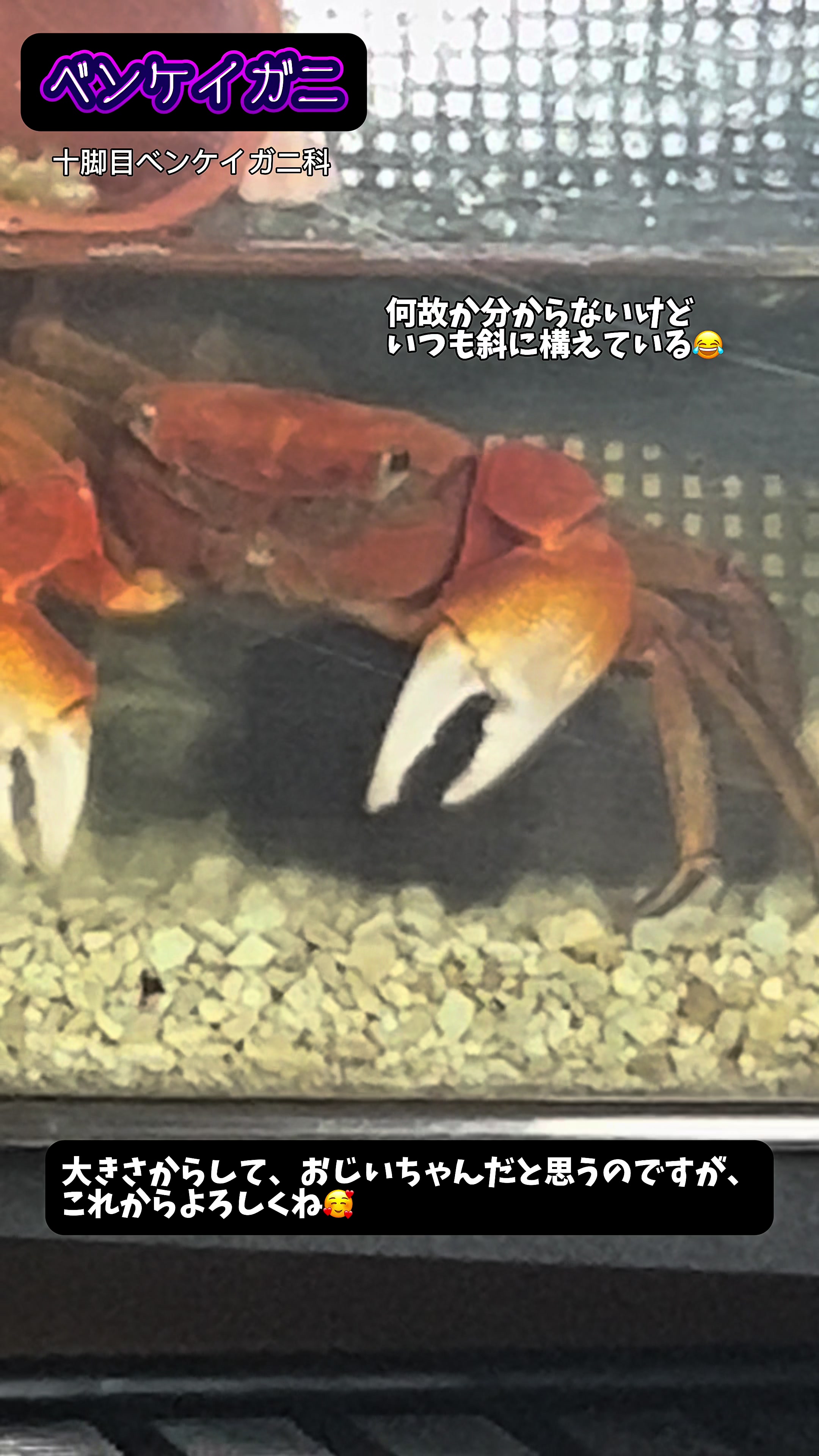 @yu_zuki.7