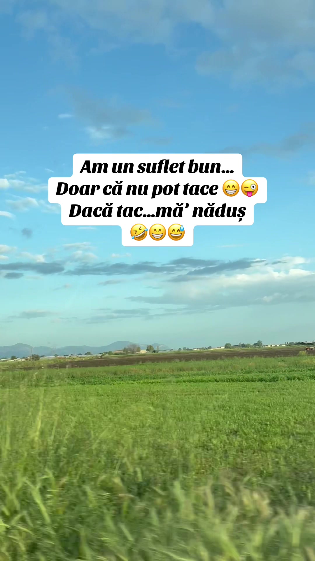 @Anca Simon