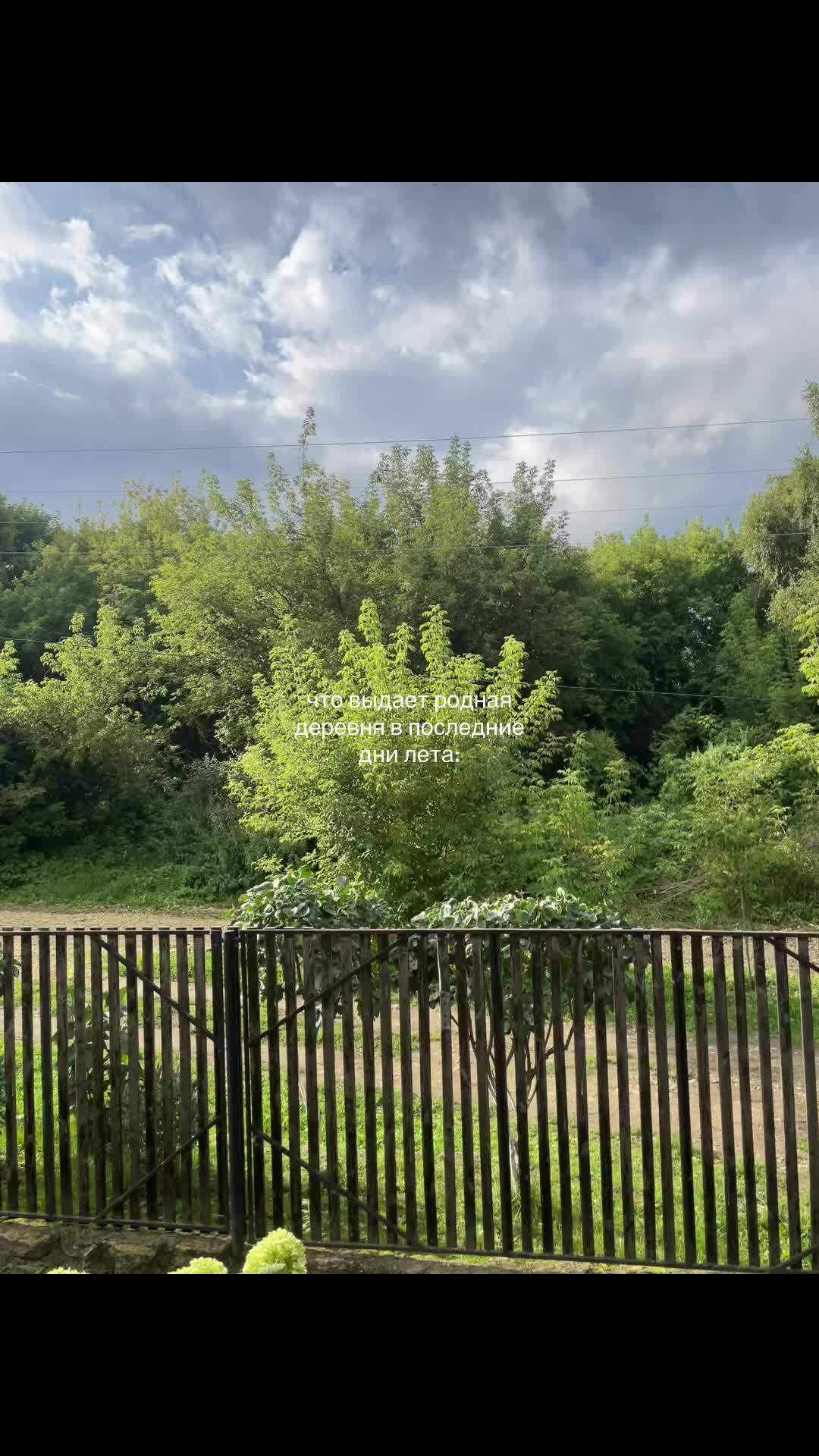 @викуша