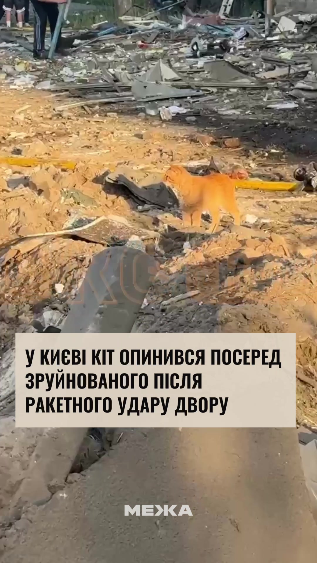 @МЕЖА