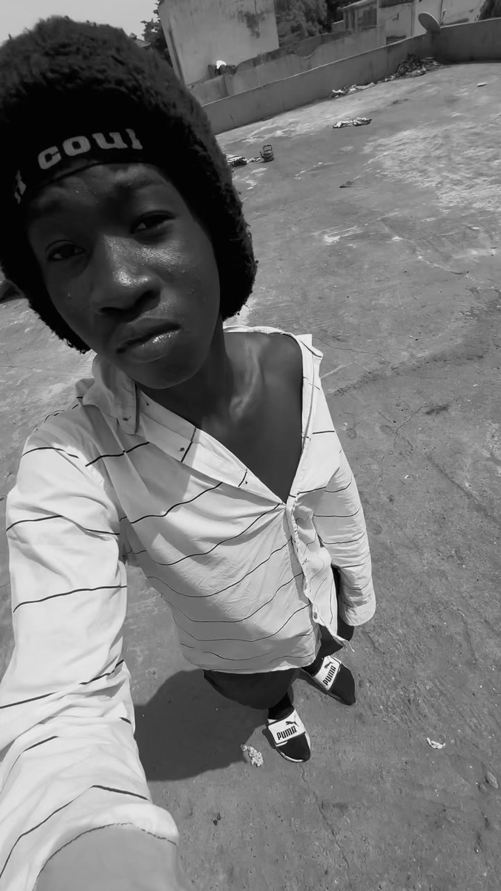 @GTA95 ZOO