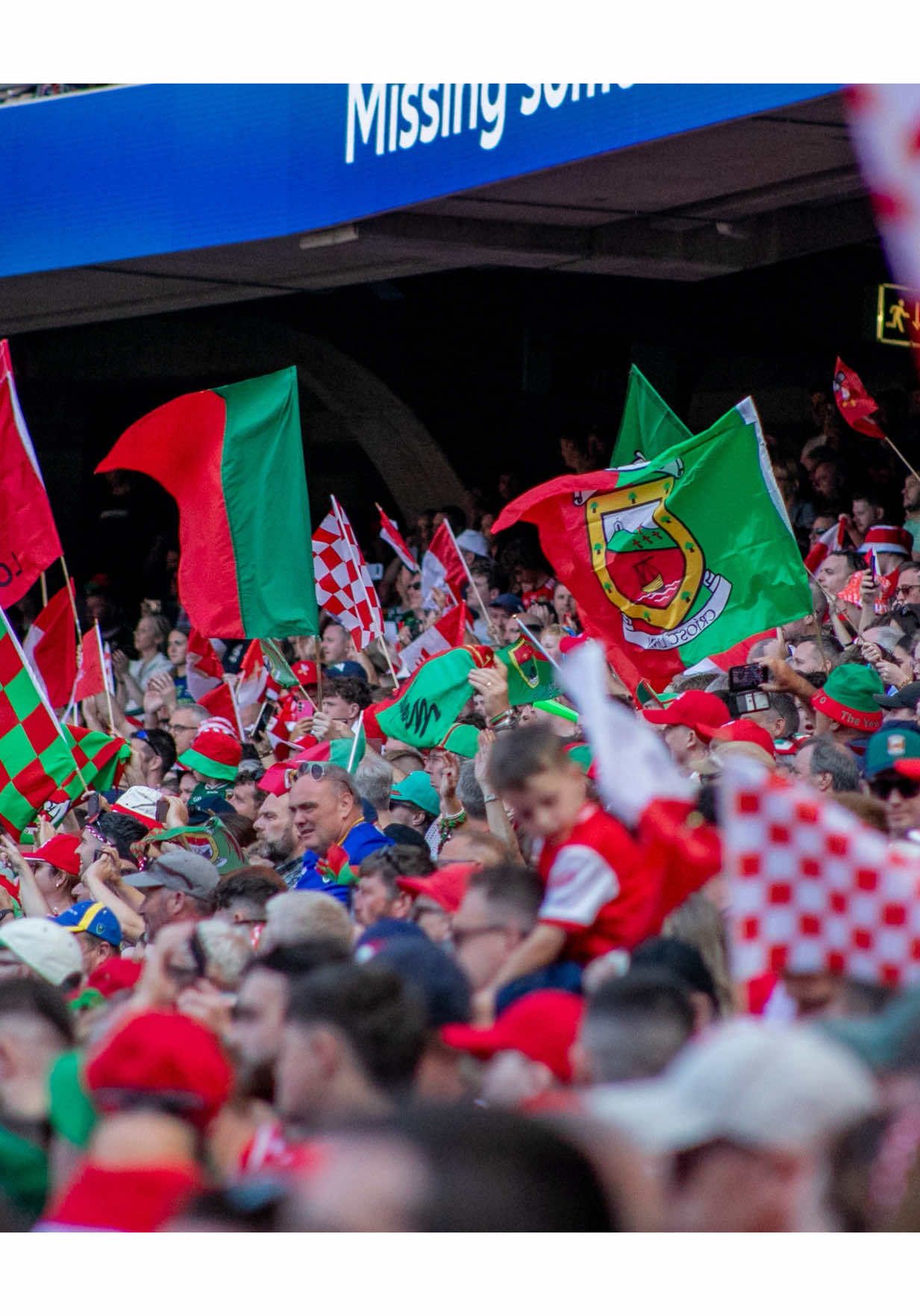 @MayoGAA