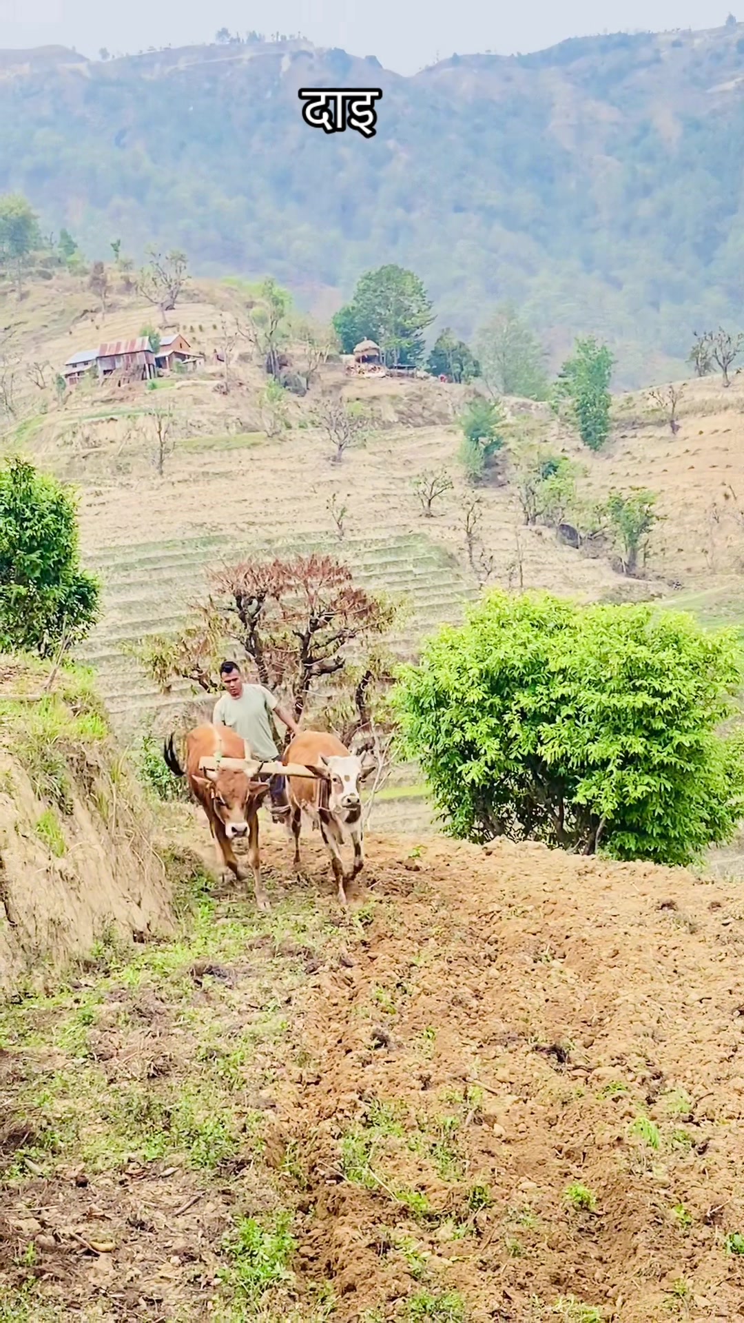 @krishna sapkota