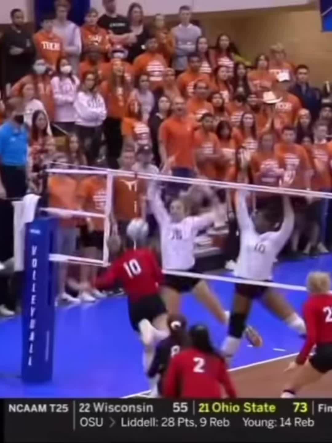 @GabbyBlossomFanPage 🌺🏐