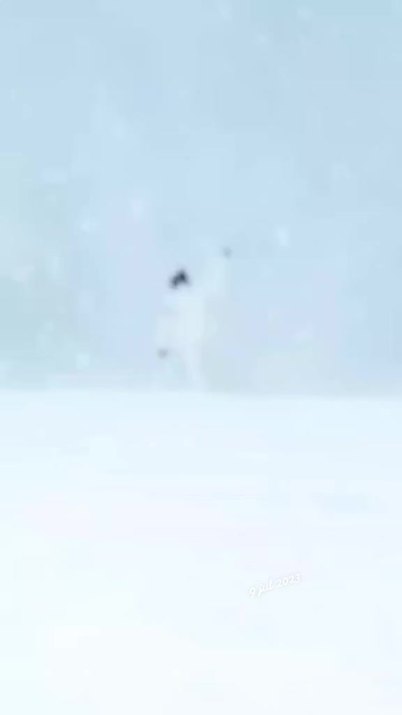 @TIUMOX