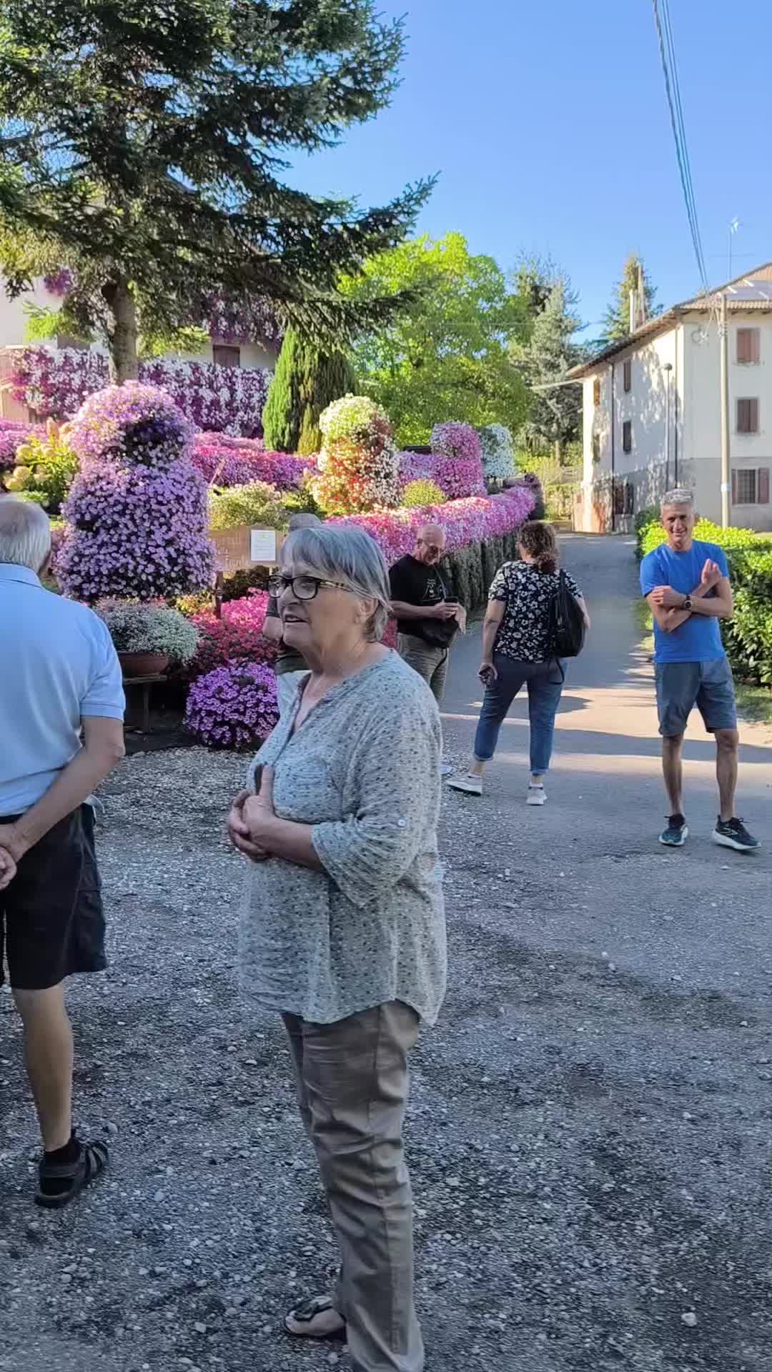 @Elena Vulpe Pilipenc