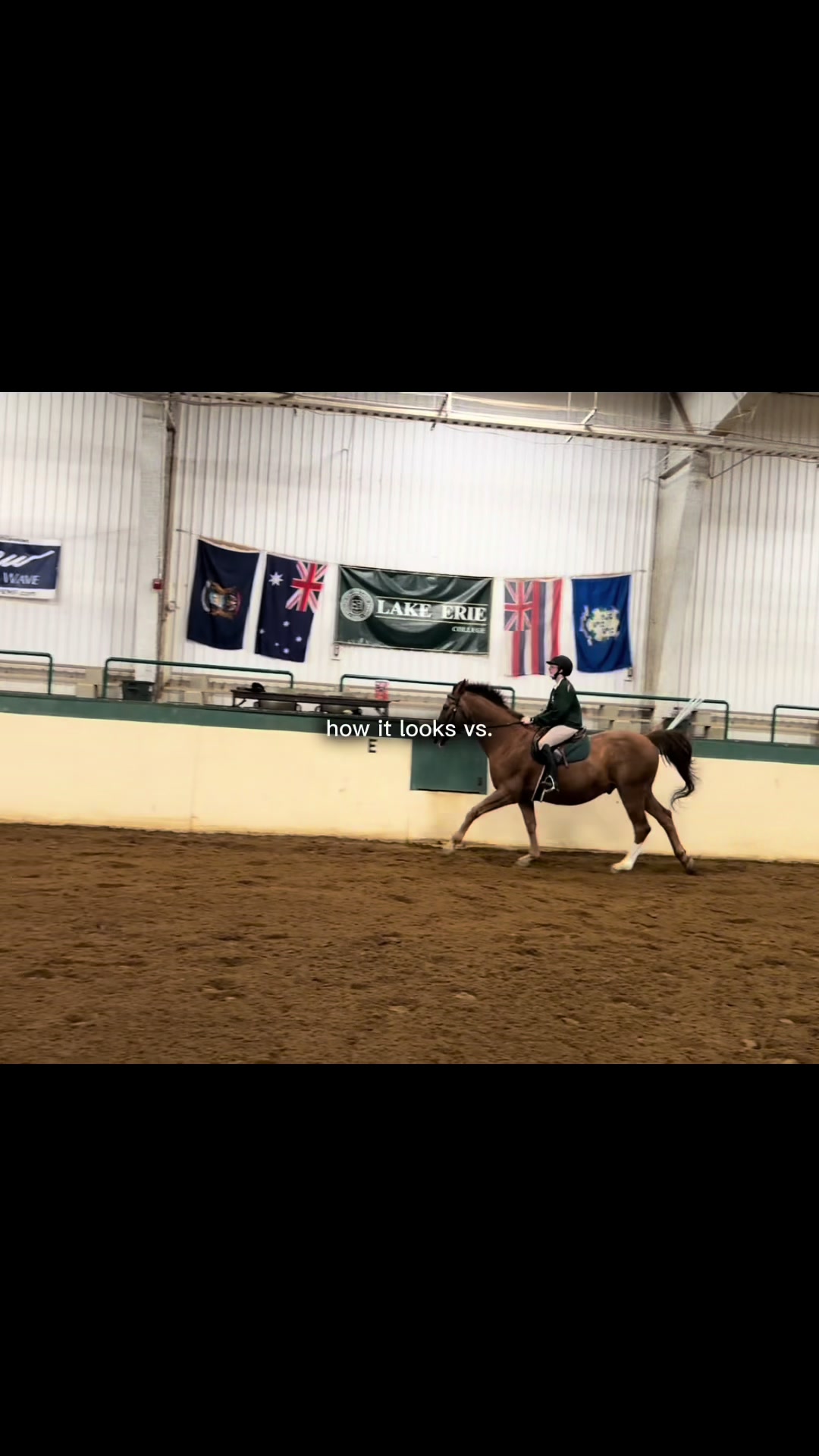 @🌻Kaitlyn C. Dudycz🐴