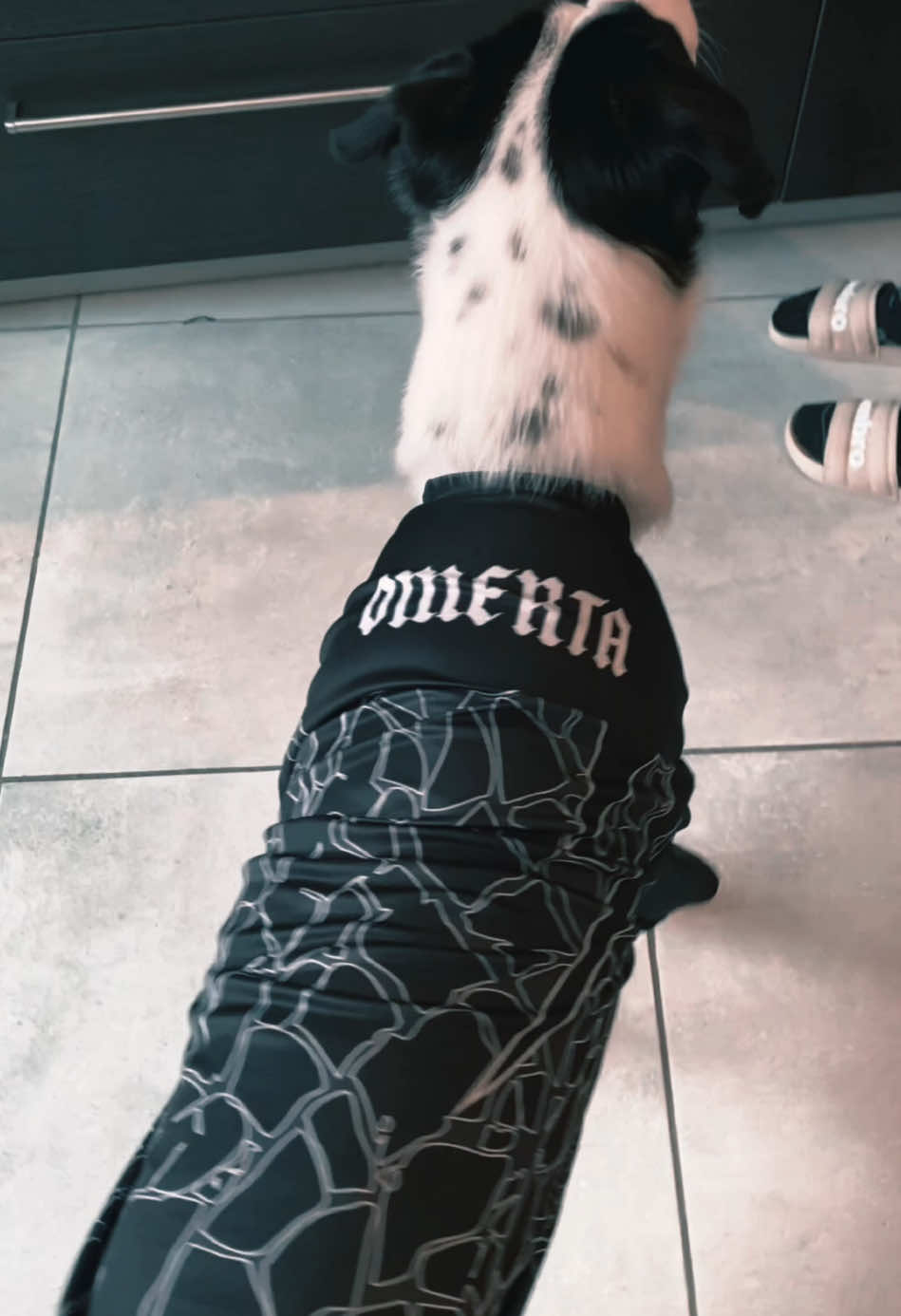 @youngzehef