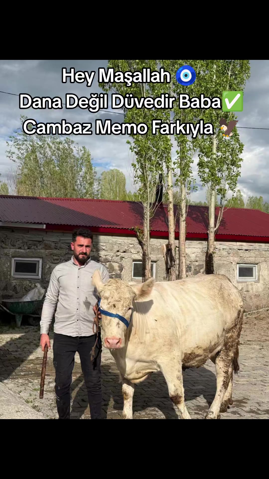 @👑Cambaz Memo Şen👑
