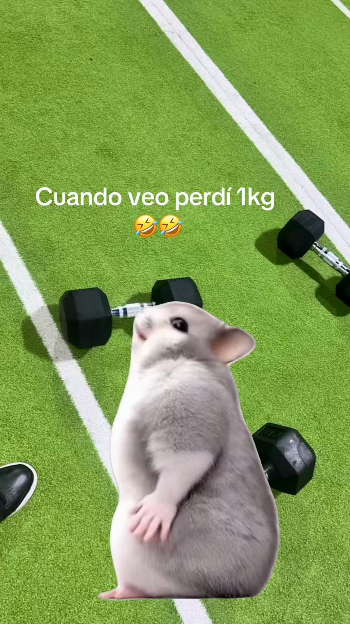 @Mar&iacute;a Paula🌸