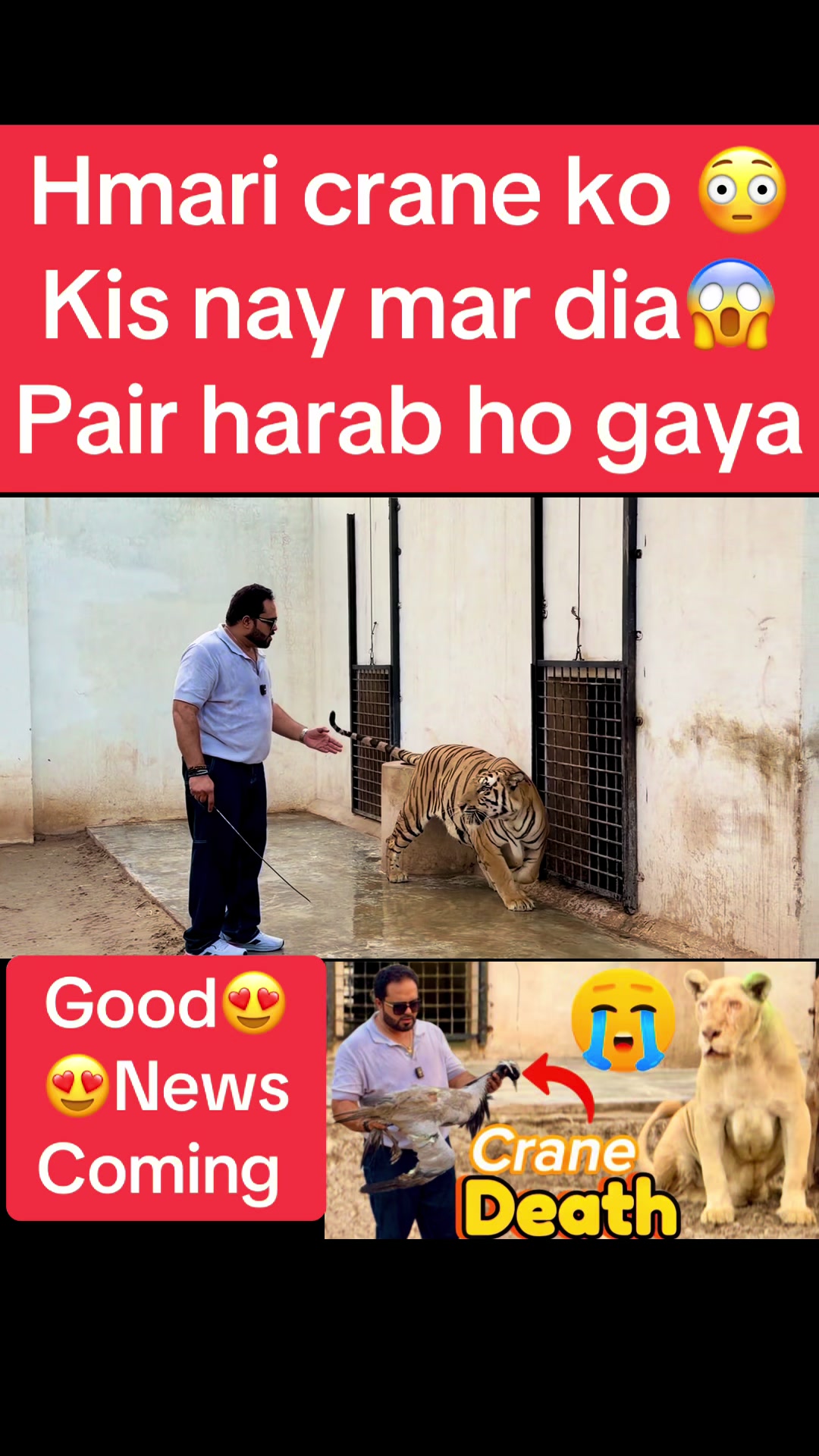 @Mian saqib