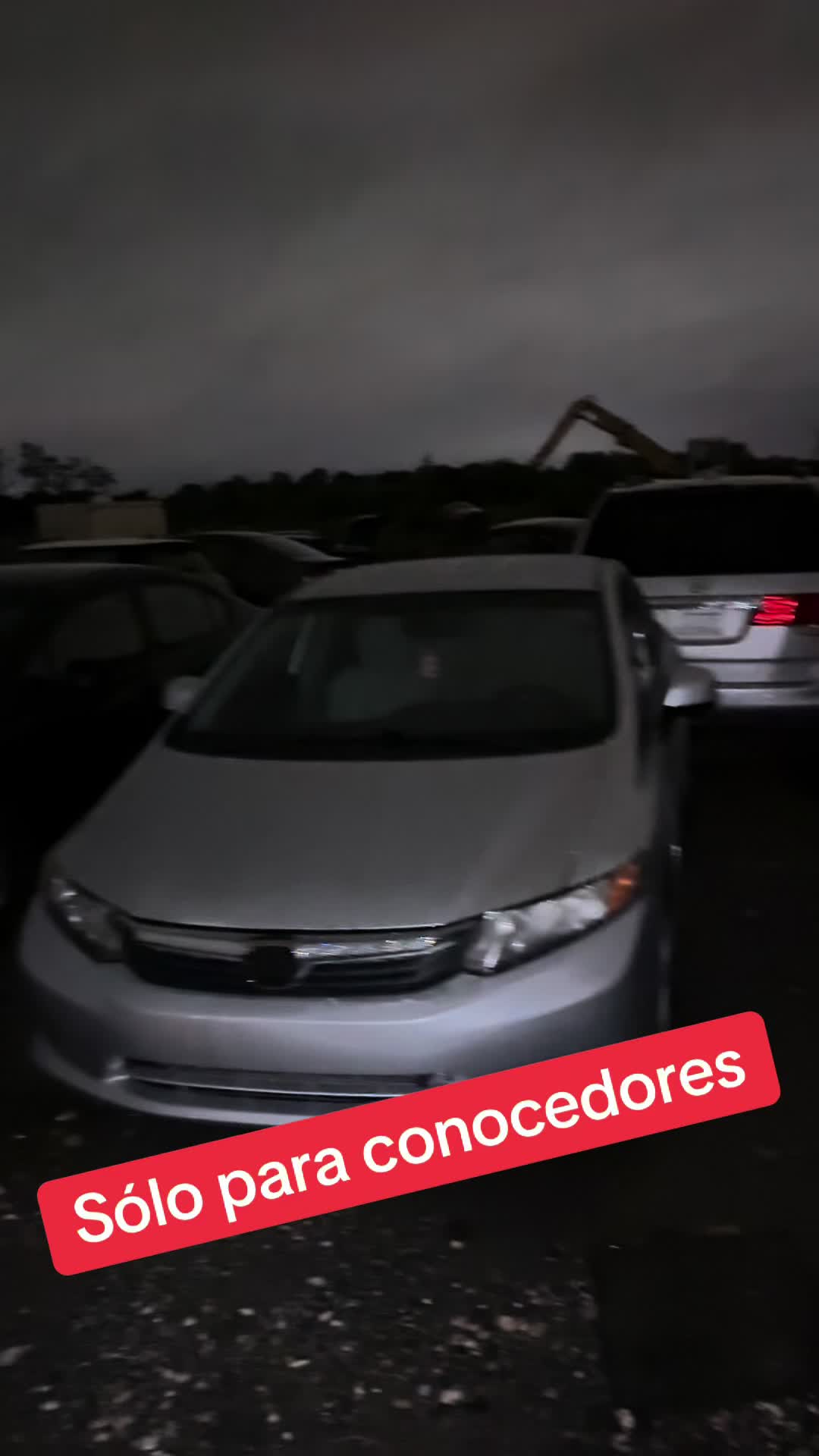 @estarli18
