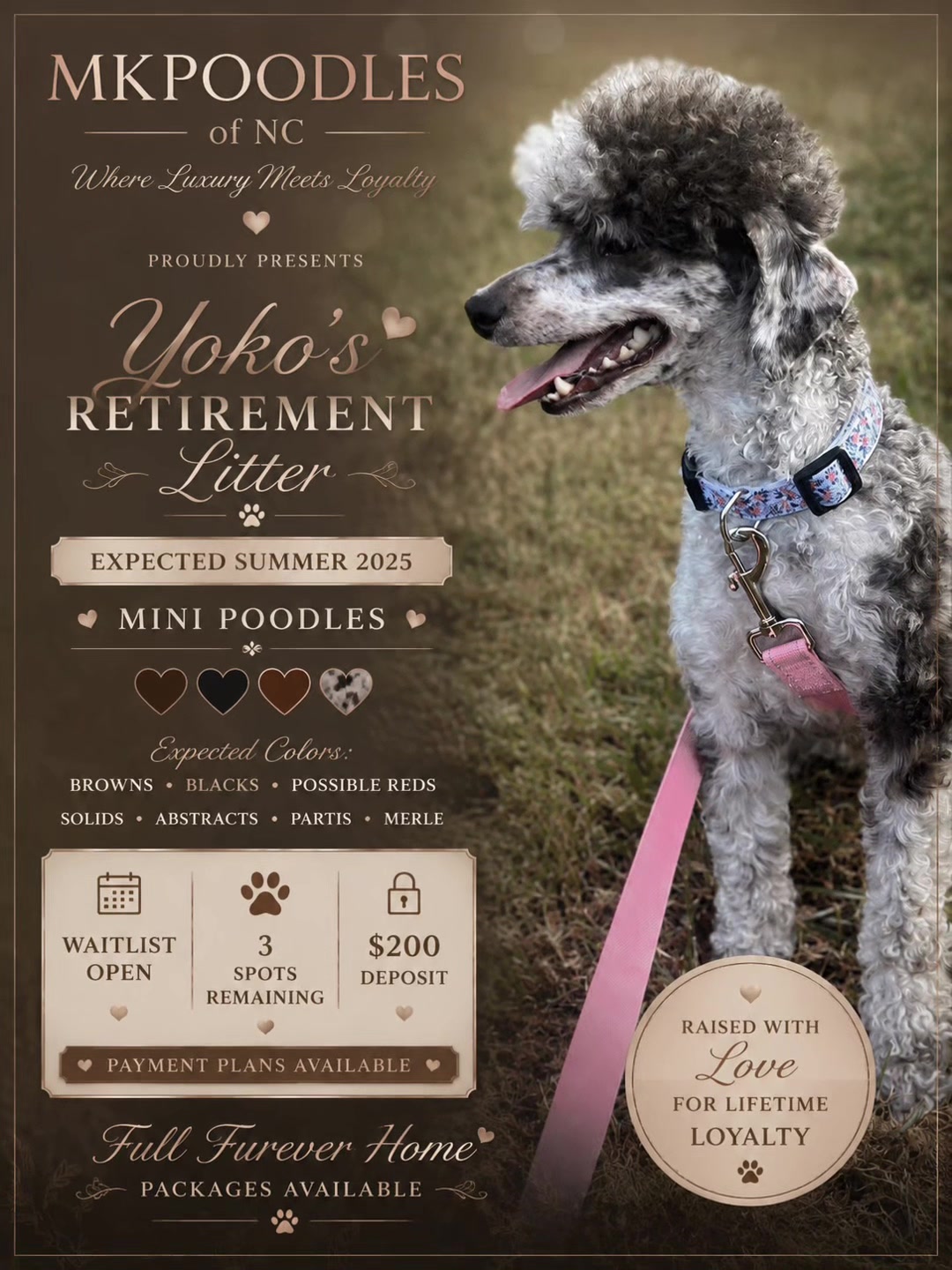 @MKPoodles