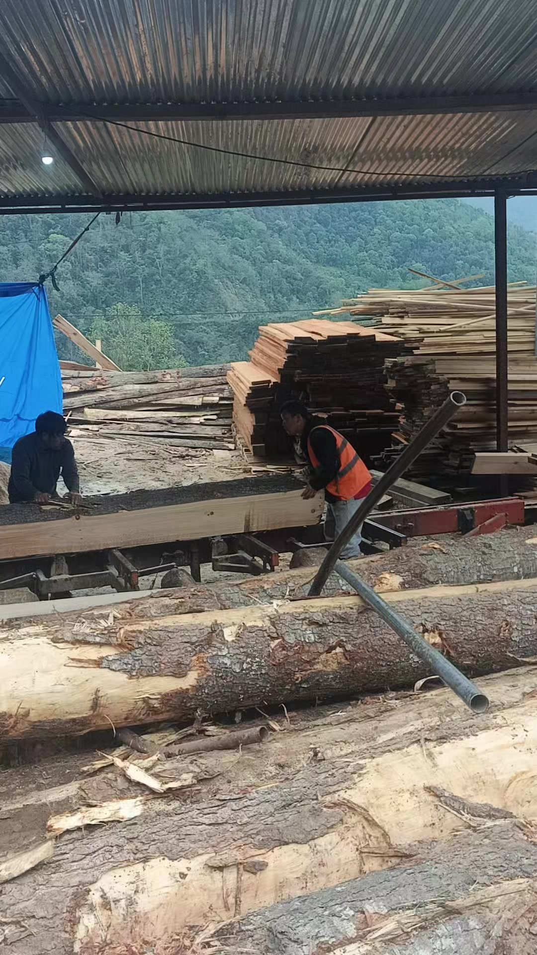 @Jigme Bhutan🇧🇹
