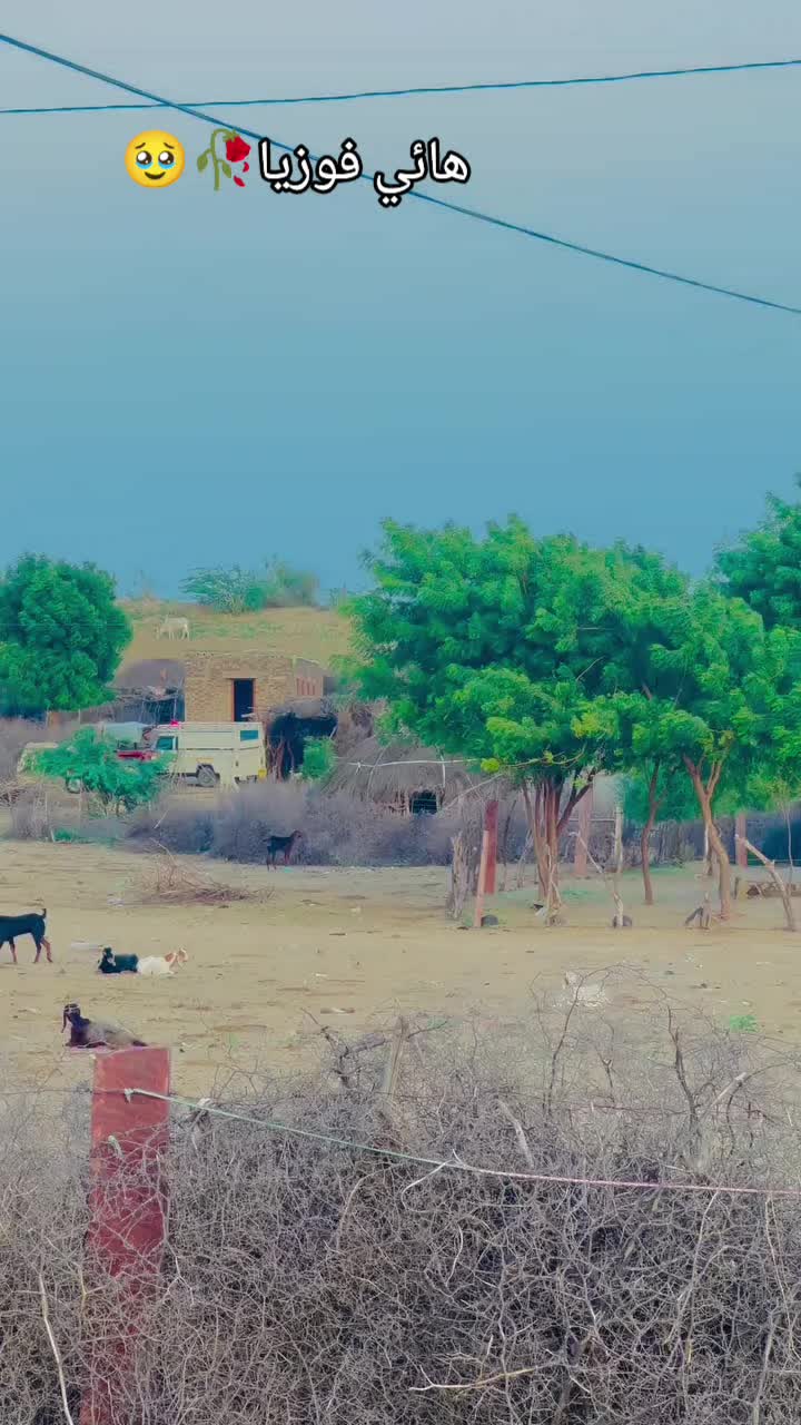 @🔥Sindhi🎭