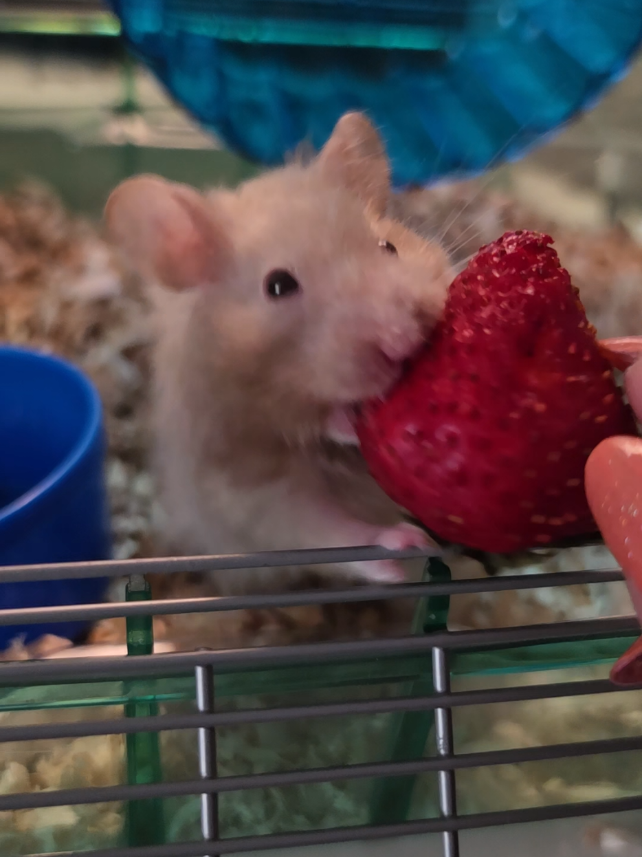 @Poppy N Bunny, mostly Bunny