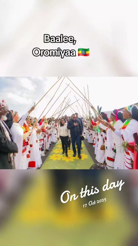 @Shimallis Abdisa Parody