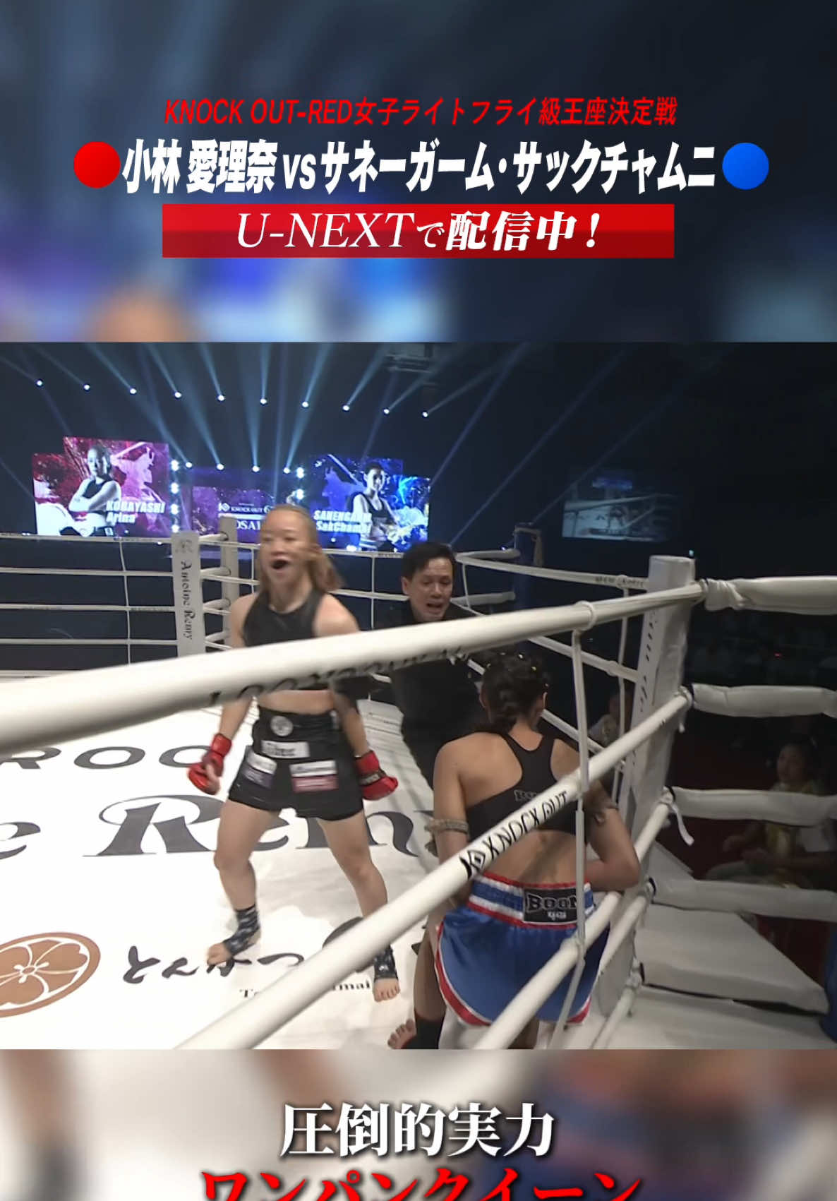 @KNOCK OUT(ノックアウト)公式