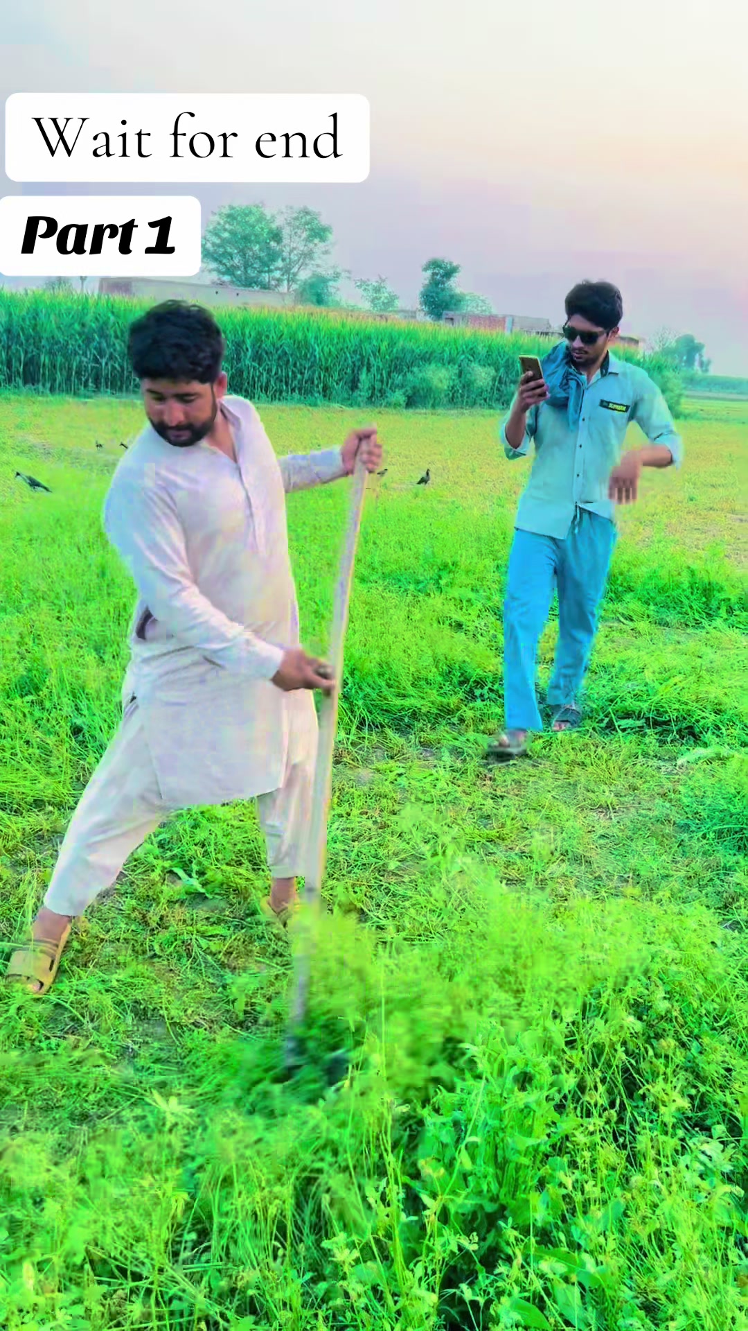 @پینڈو بوائز 378
