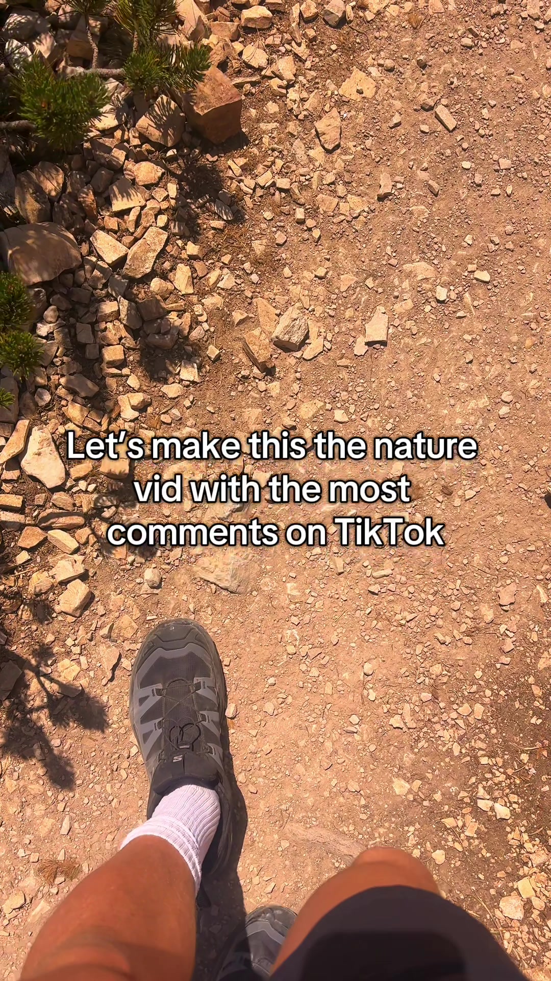 @🌄DAD LORE🏞️