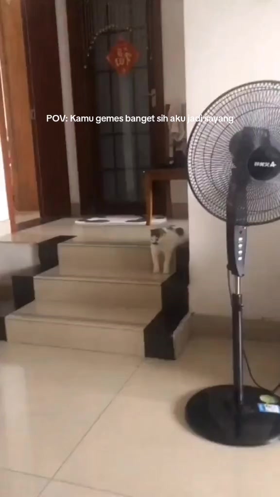 @diajengnoviea