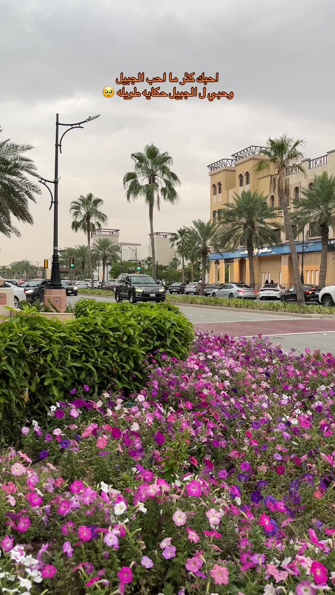 @ملك بلوقررر / الجبيل ✨