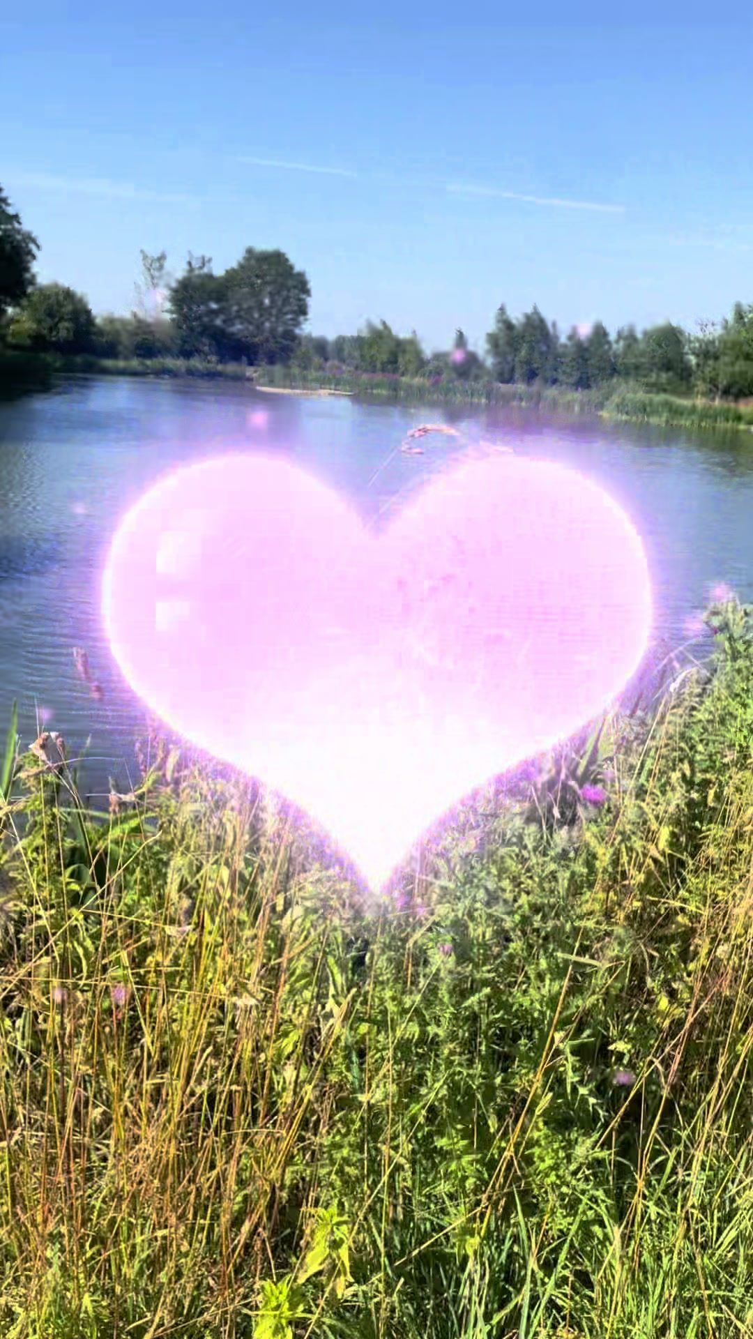@Happy buddy