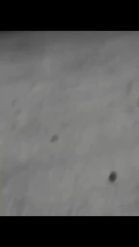 @Aurangraib