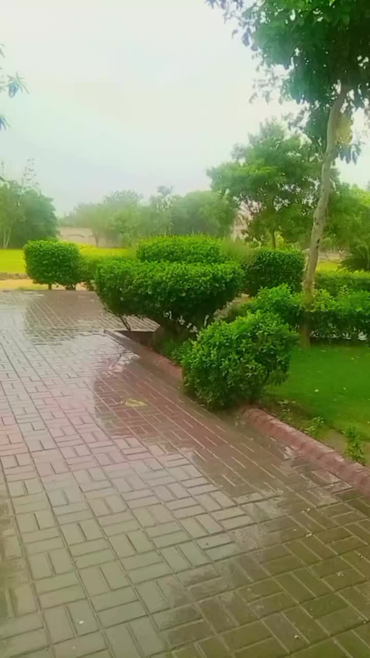 @꧁ حسنین جانوں اوئے ꧁❀